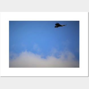 Golden Eagle Soaring the Cloudy sky Posters and Art